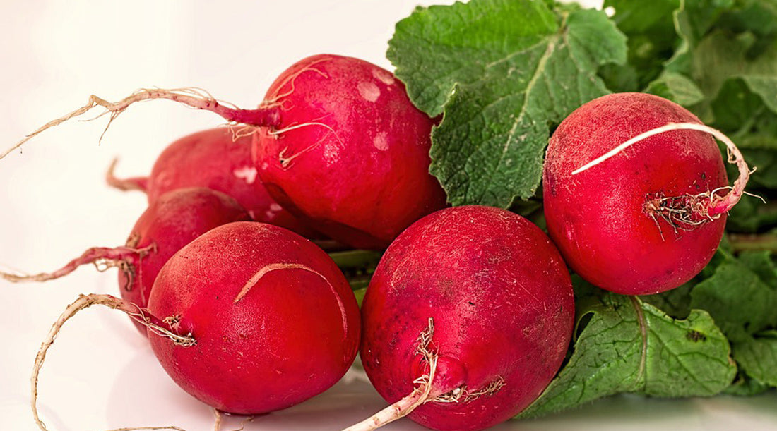 GRILLED RADISH SALAD