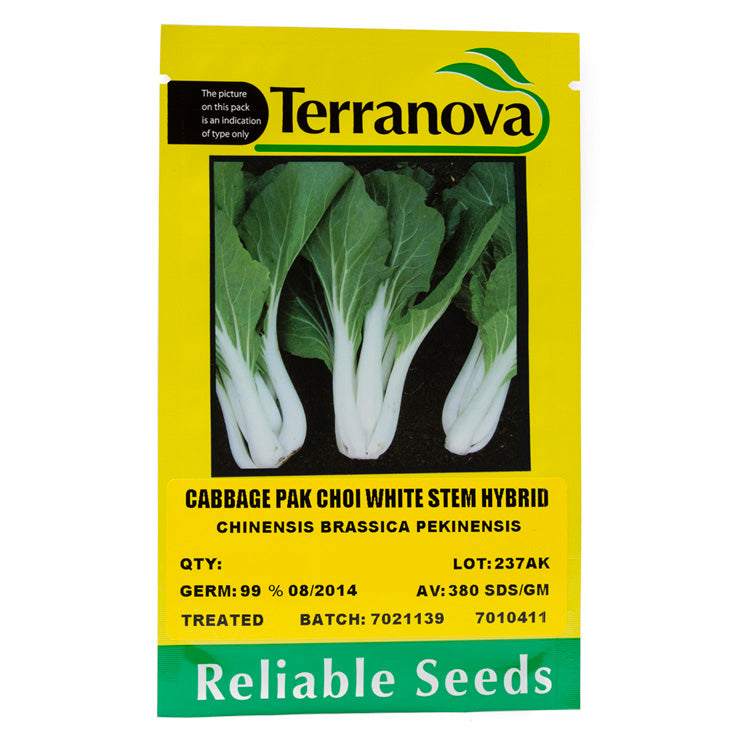 Terra Nova Cabbage Pak Choi White Stem Hybrid