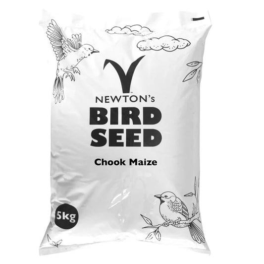 Chook Maize