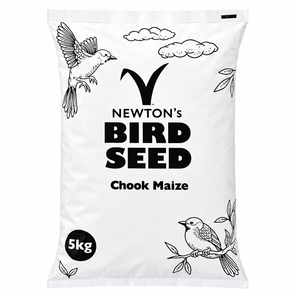 Chook Maize