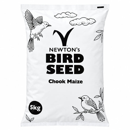 Chook Maize
