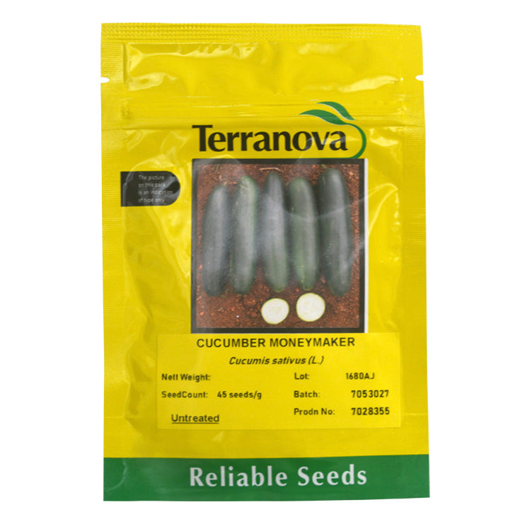 Terra Nova Cucumber - Moneymaker
