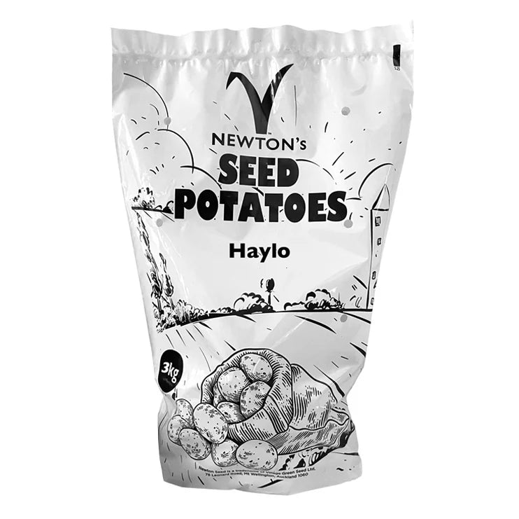 Haylo