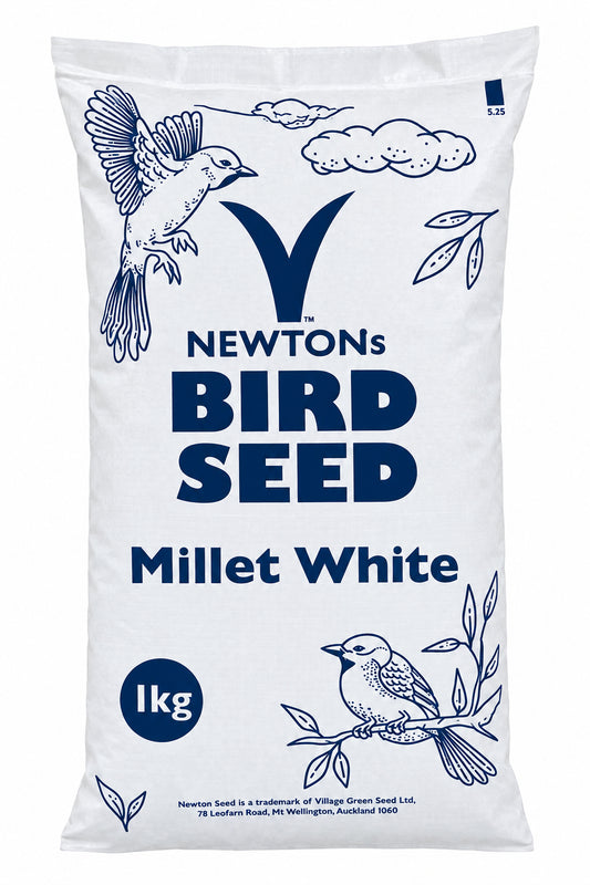 White Millet