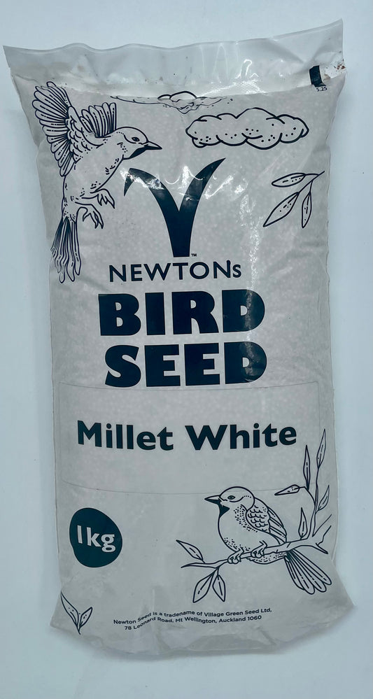 White Millet