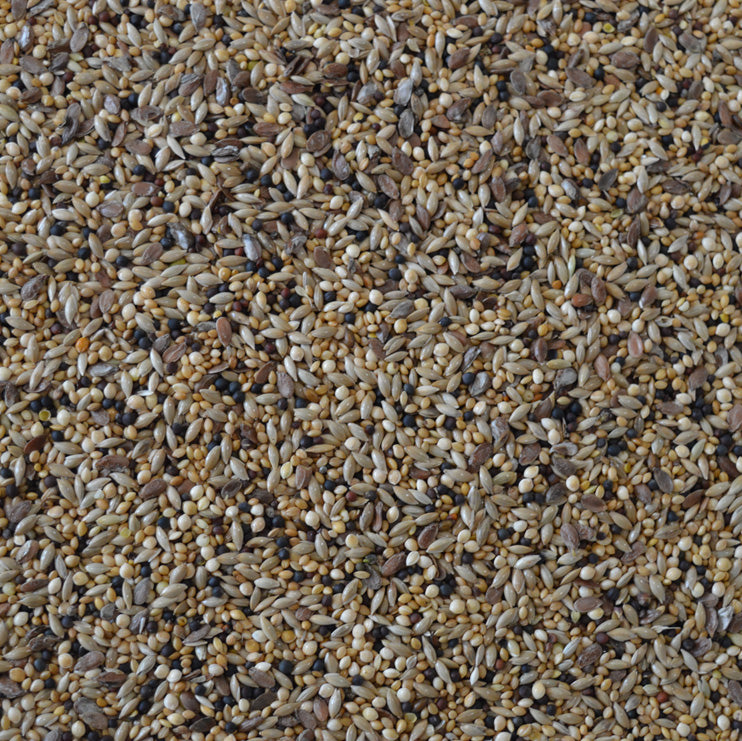 Mixed Canary