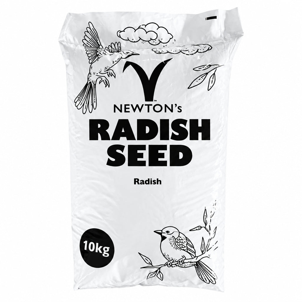 Radish Seed