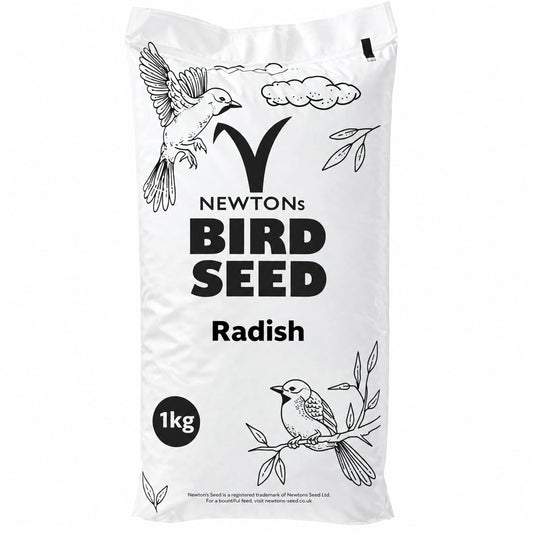 Radish Seed