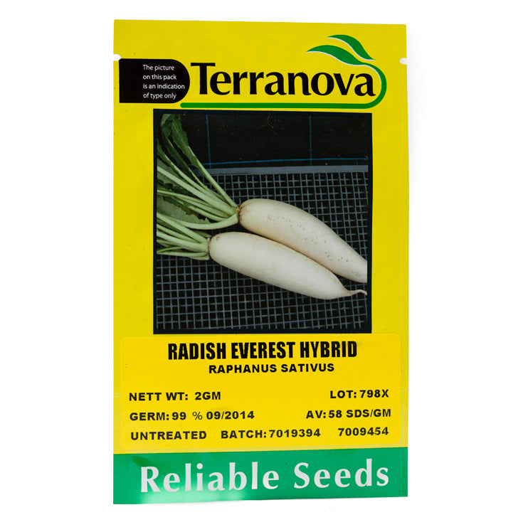 Terra Nova Radish - Everest Hybrid