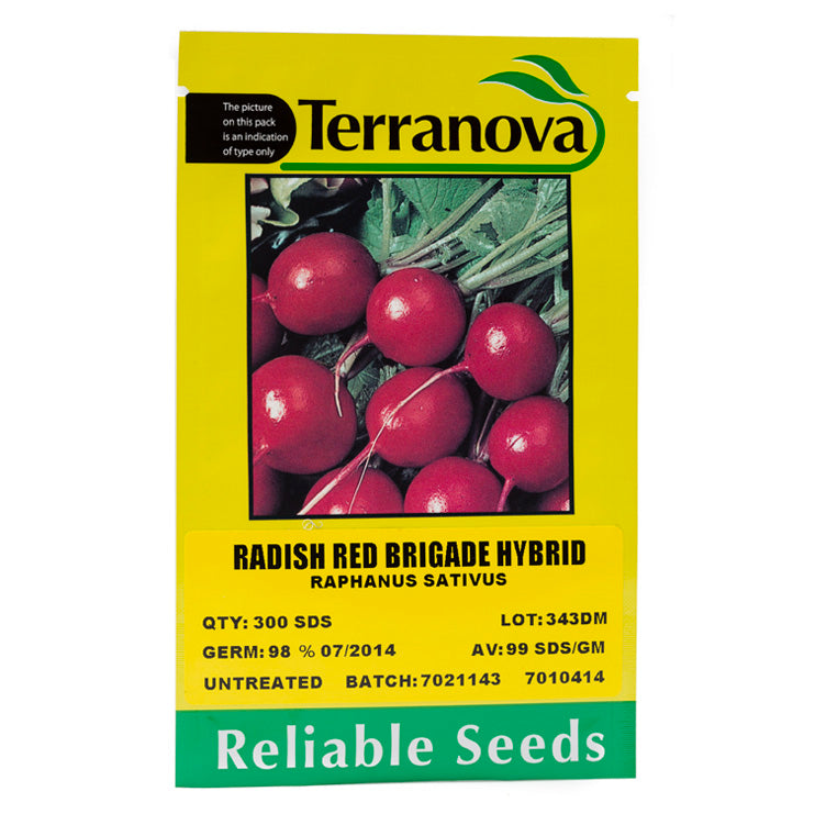Terra Nova Radish - Red Brigade Hybrid