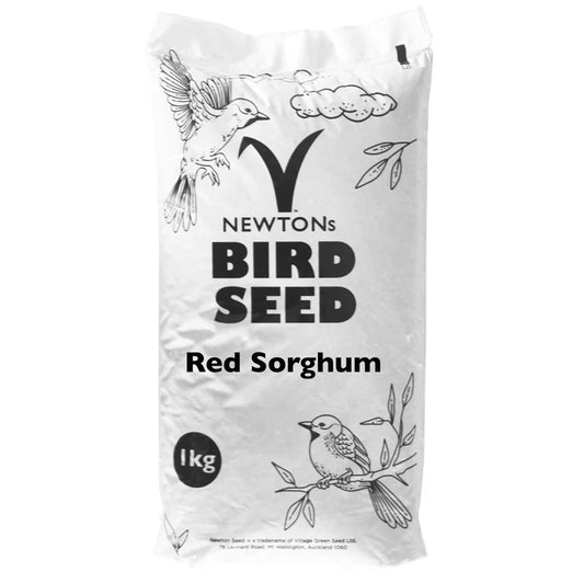 Red Sorghum