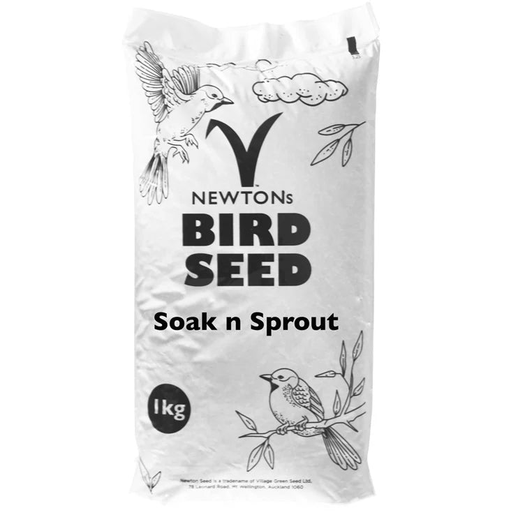 Soak and Sprout Seed