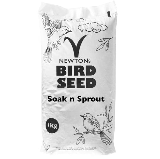 Soak and Sprout Seed