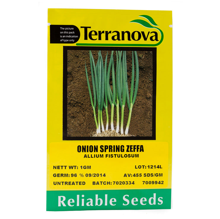 Terra Nova Onion - Spring Zeffa