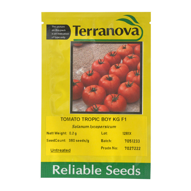 Terra Nova Tomato - Tropic Boy