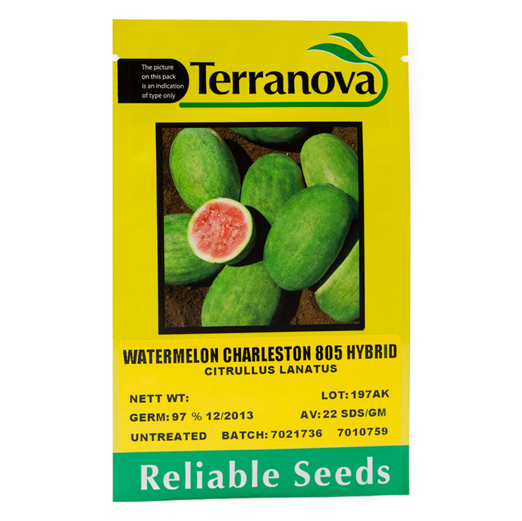 Terra Nova Watermelon - Charleston 805 Hybrid