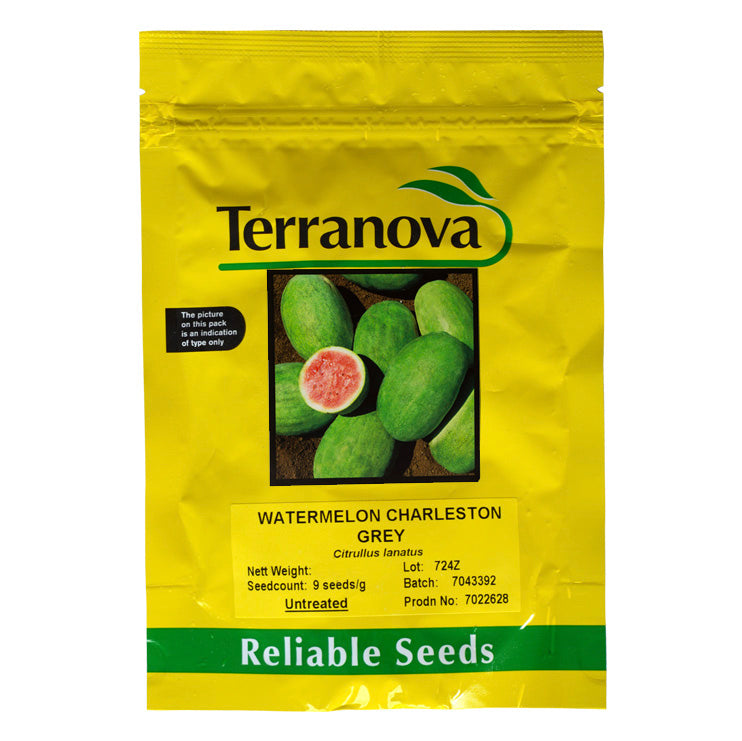 Tera Nova Watermelon - Charleston Grey