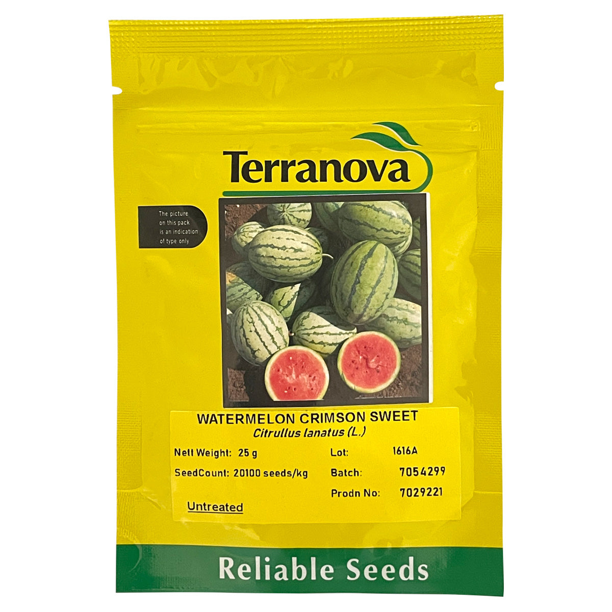 Terra Nova Watermelon Crimson Sweet