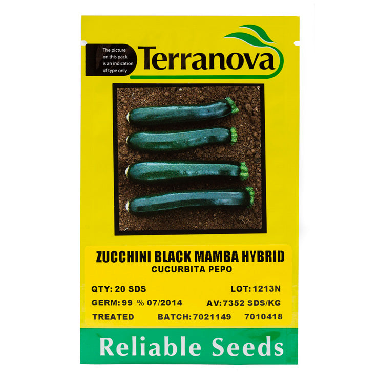 Terra Nova Zucchini - Black Mamba Hybrid