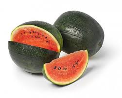 Terranova Watermelon Sugar Belle F1