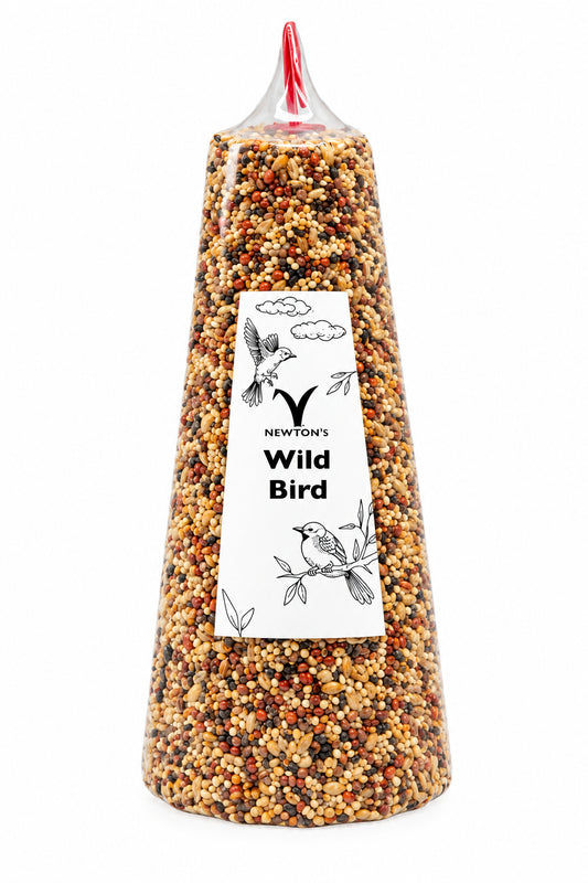 Bird Bells
