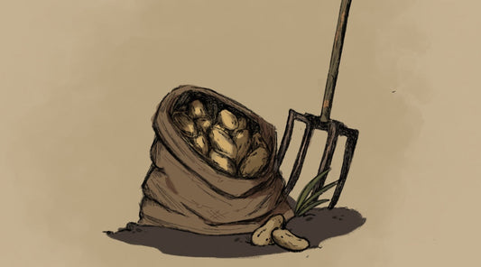 NEWS & TIPS FOR APRIL 2024