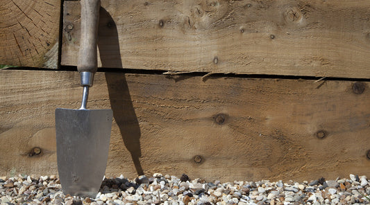 NEWS & TIPS FOR AUGUST 2021