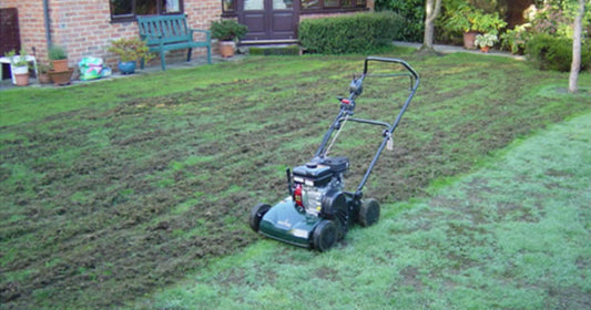 Spring Lawn Renovation Time!