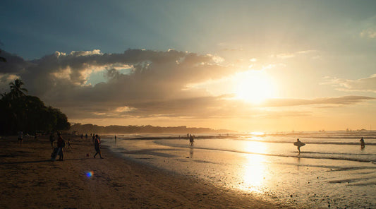 NEWS & TIPS FOR FEBRUARY 2024