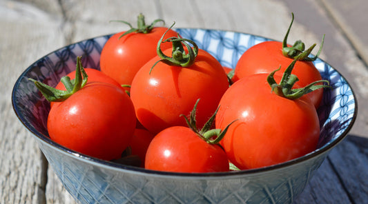 NEWS & TIPS FOR MARCH 2022