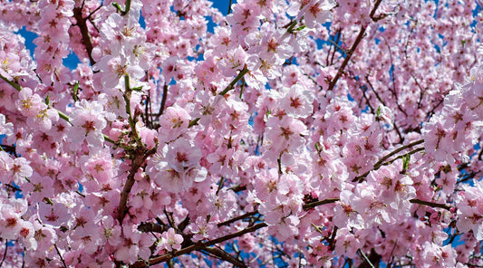 NEWS & TIPS FOR OCTOBER 2021