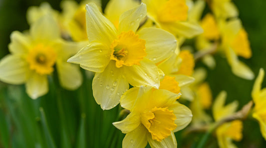 NEWS & TIPS FOR SEPTEMBER 2022