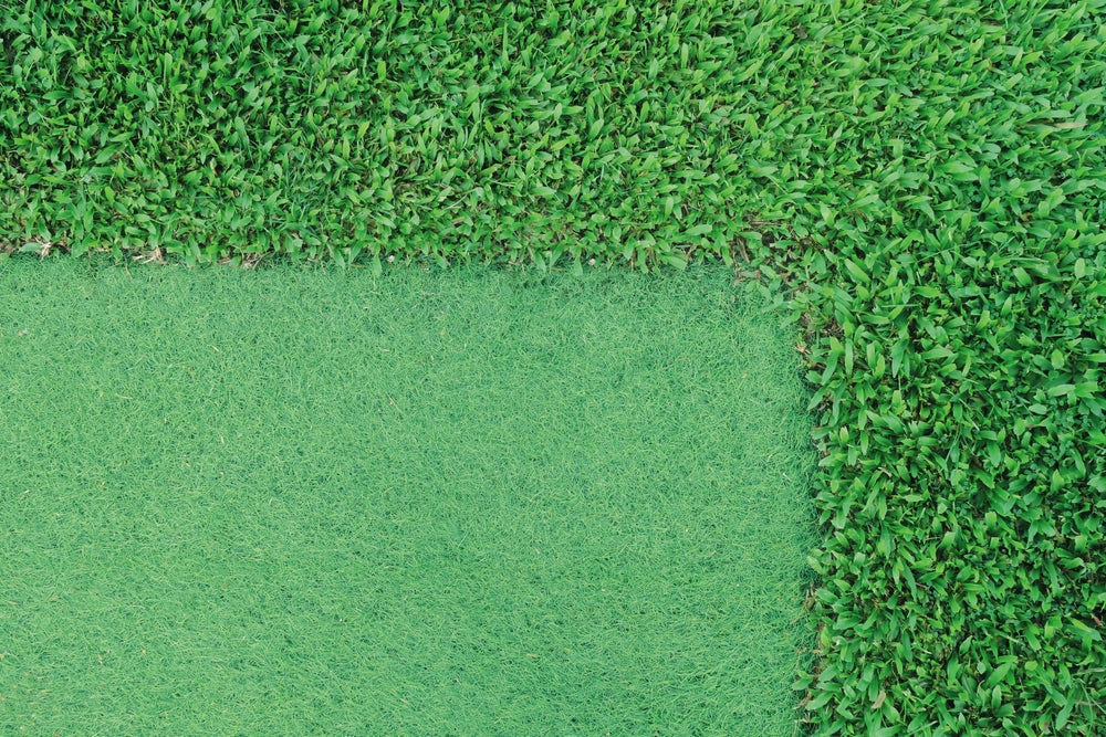 Barlibro Grass vs Artifical Grass: Which is Superior?