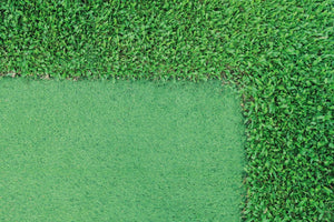 Barlibro Grass vs Artifical Grass: Which is Superior?