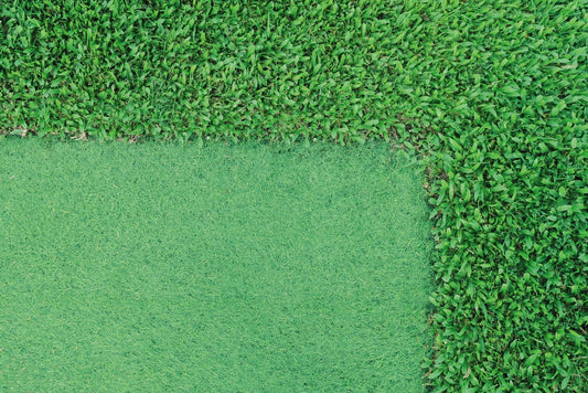 Lush green grass background, highlighting the contrast between artificial grass and real lawns.