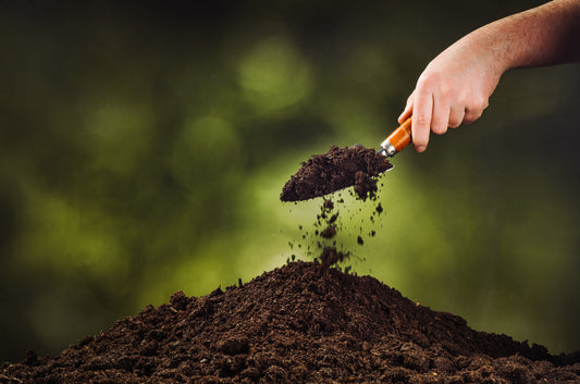 Hand pouring black soil with shovel on green bokeh background. Planting a small plant on a pile of soil.