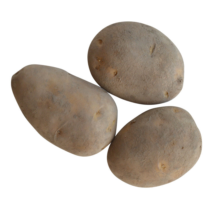 Seed Potatoes