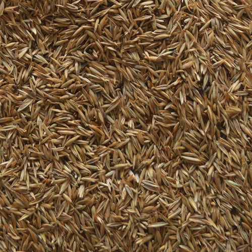 Pasture Seeds