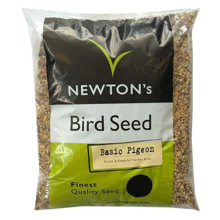 Bird Seed