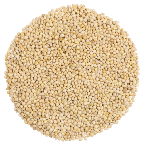 White Millet
