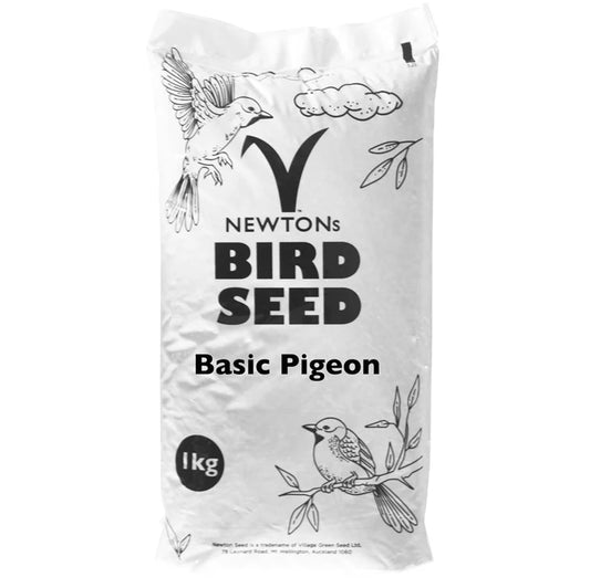 Basic Pigeon