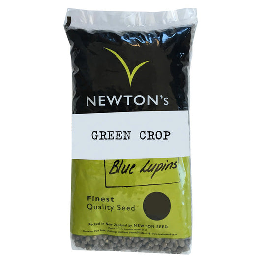 Blue Lupins