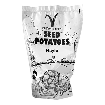 Haylo