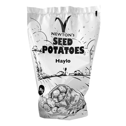 Haylo