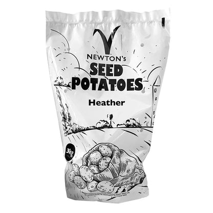 Heather