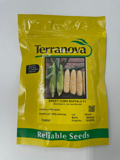 Terranova Sweetcorn Buffalo - Hybrid