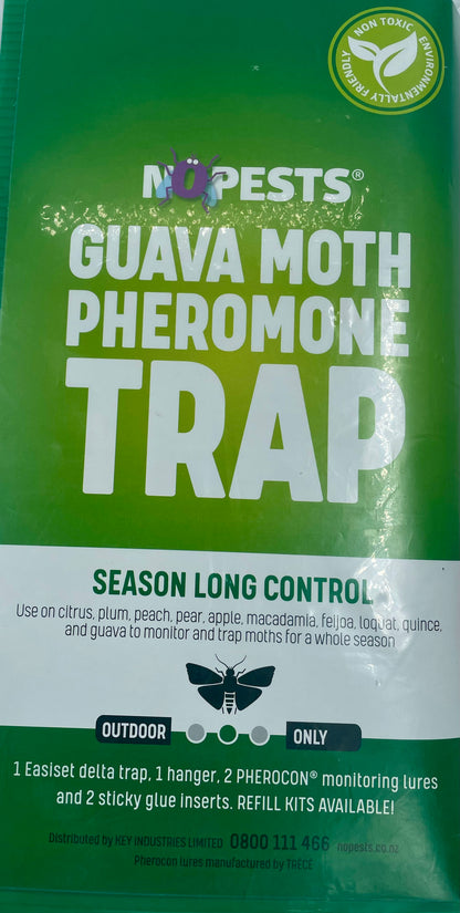 Guava Moth Pheromone Trap