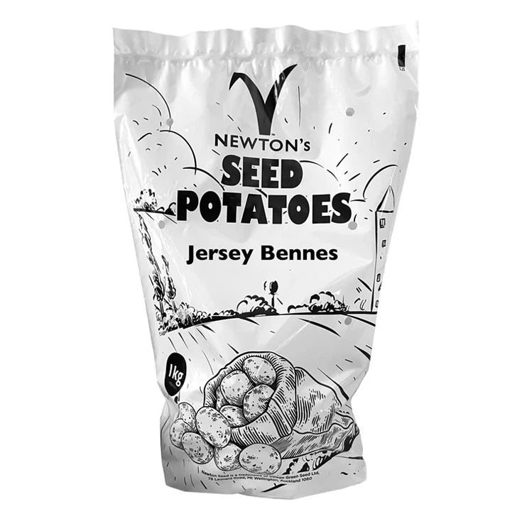 Jersey Bennes