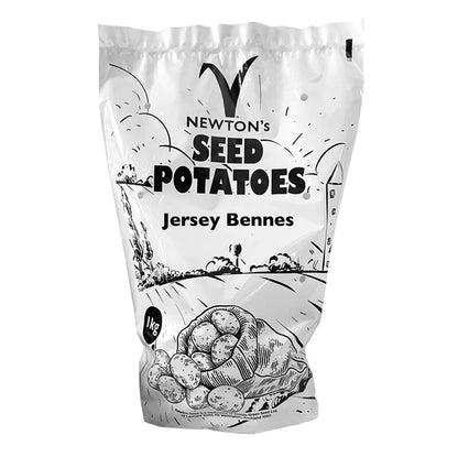 Jersey Bennes