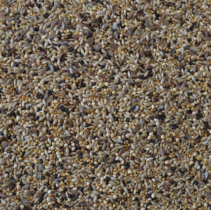 Mixed Canary